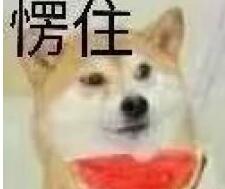 1575017919176928.jpg 0075.jpg